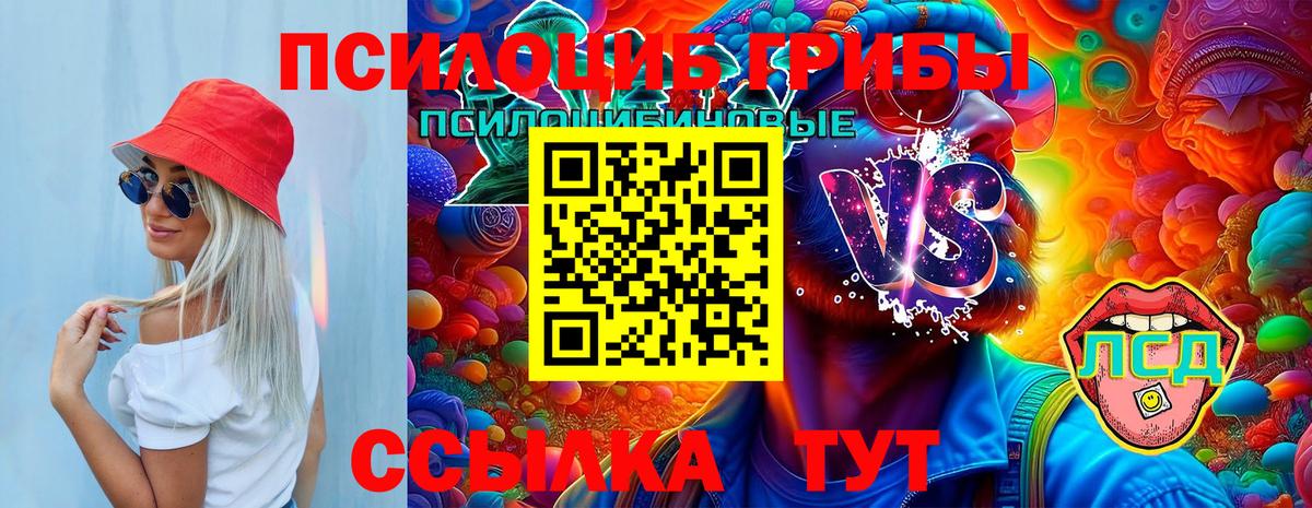 Галлюциногенные грибы прущие грибы  Галлюциногенные грибы GOLDEN TEACHER  Королёв  Вход с VPN 